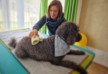 Massage und Bewegungstherapie für Hunde