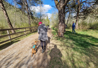 Hundetraining Michaela Braunhofer Hundegesundheitszentrum Prutz