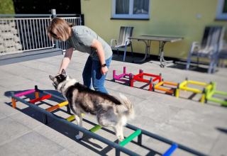 Bewegungstherapie für Hunde Prutz