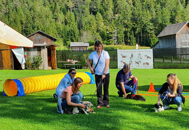 Hundetraining Michaela Braunhofer Prutz